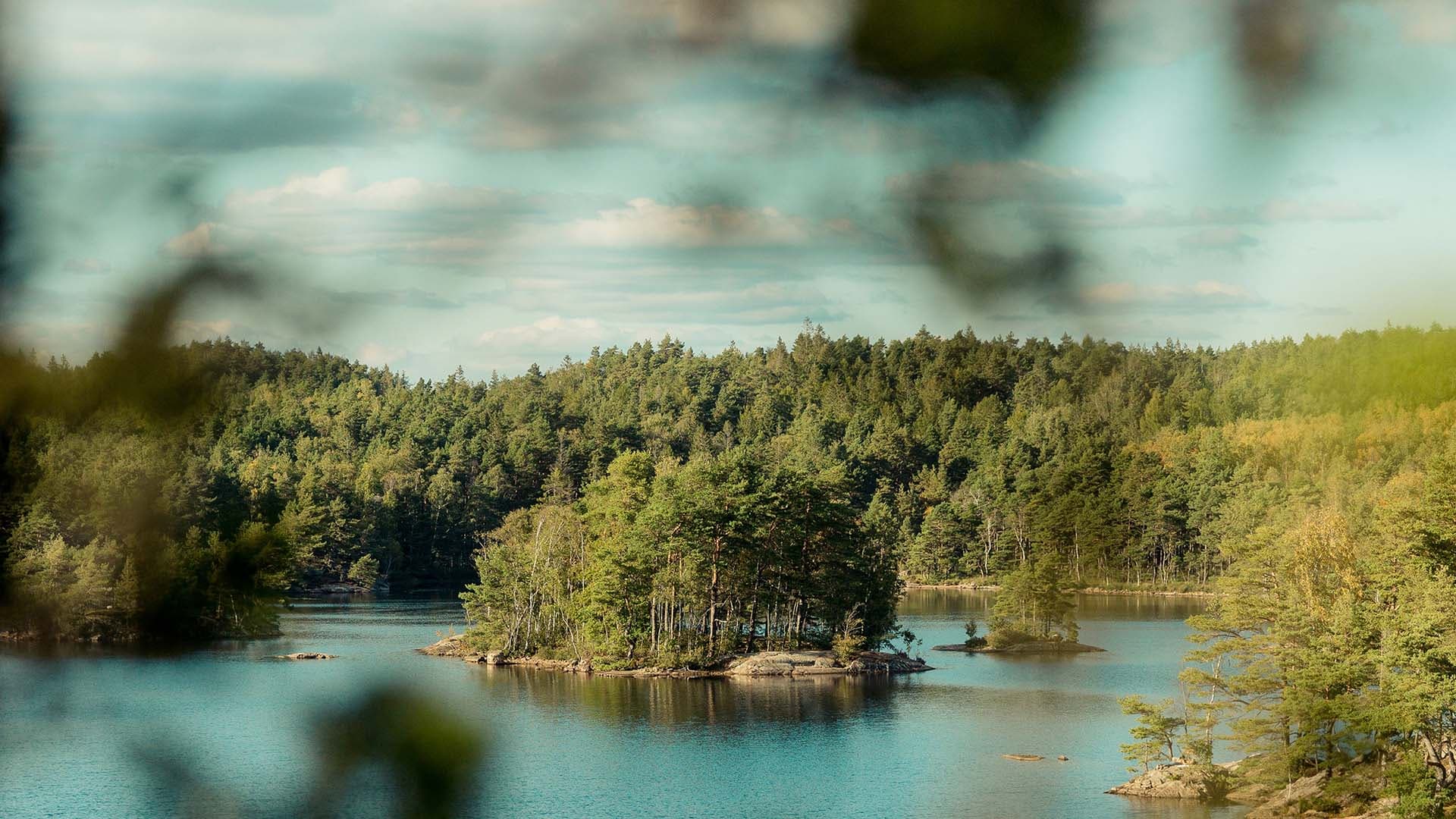 Skogsklädda öar i en stilla sjö omgivna av grönskande natur.